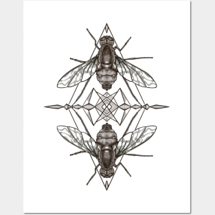 Tiger Bee Fly Posters and Art